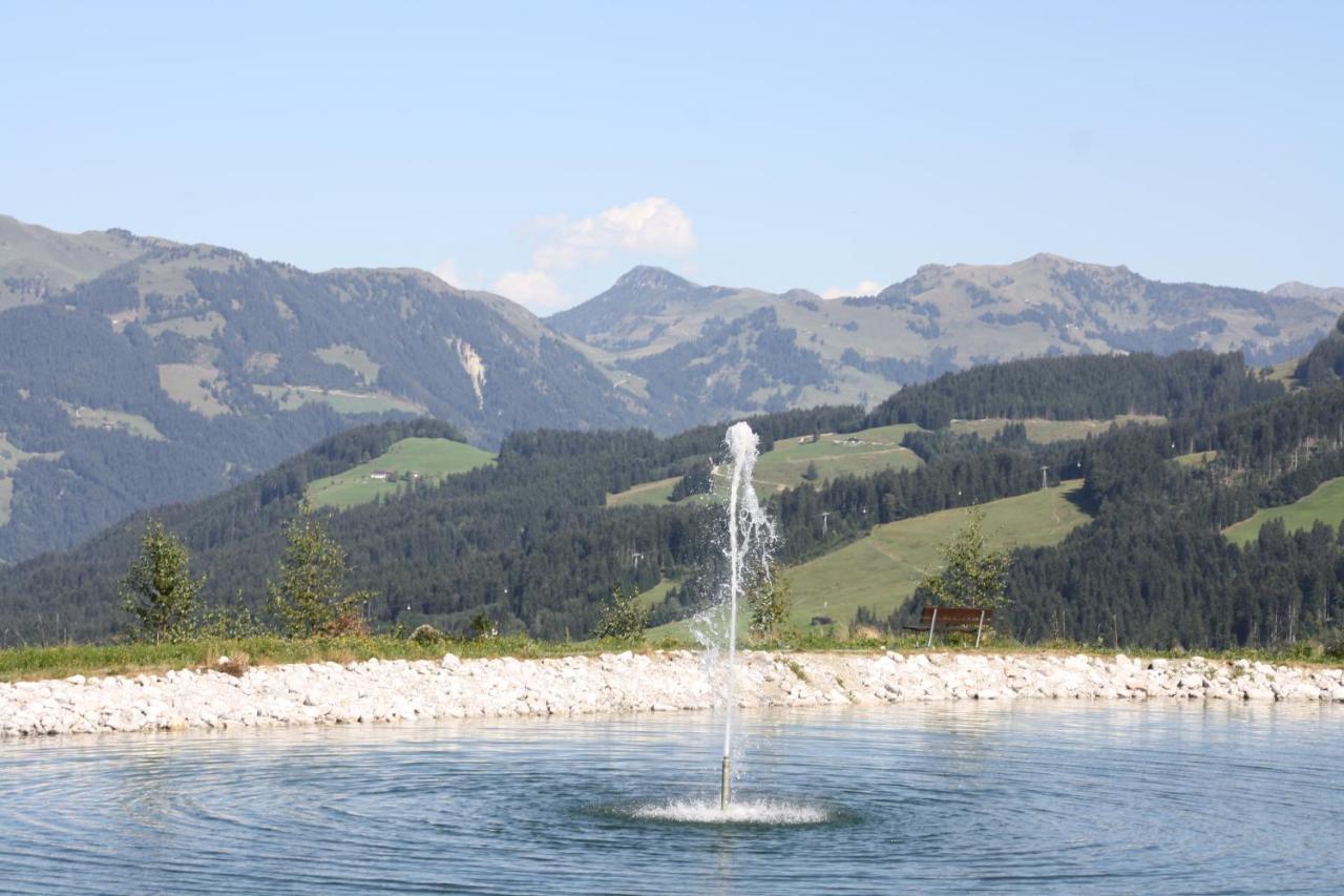 Absolute Active Roulette Apartments Kirchberg Κίρχμπεργκ ιν Τιρόλ Εξωτερικό φωτογραφία